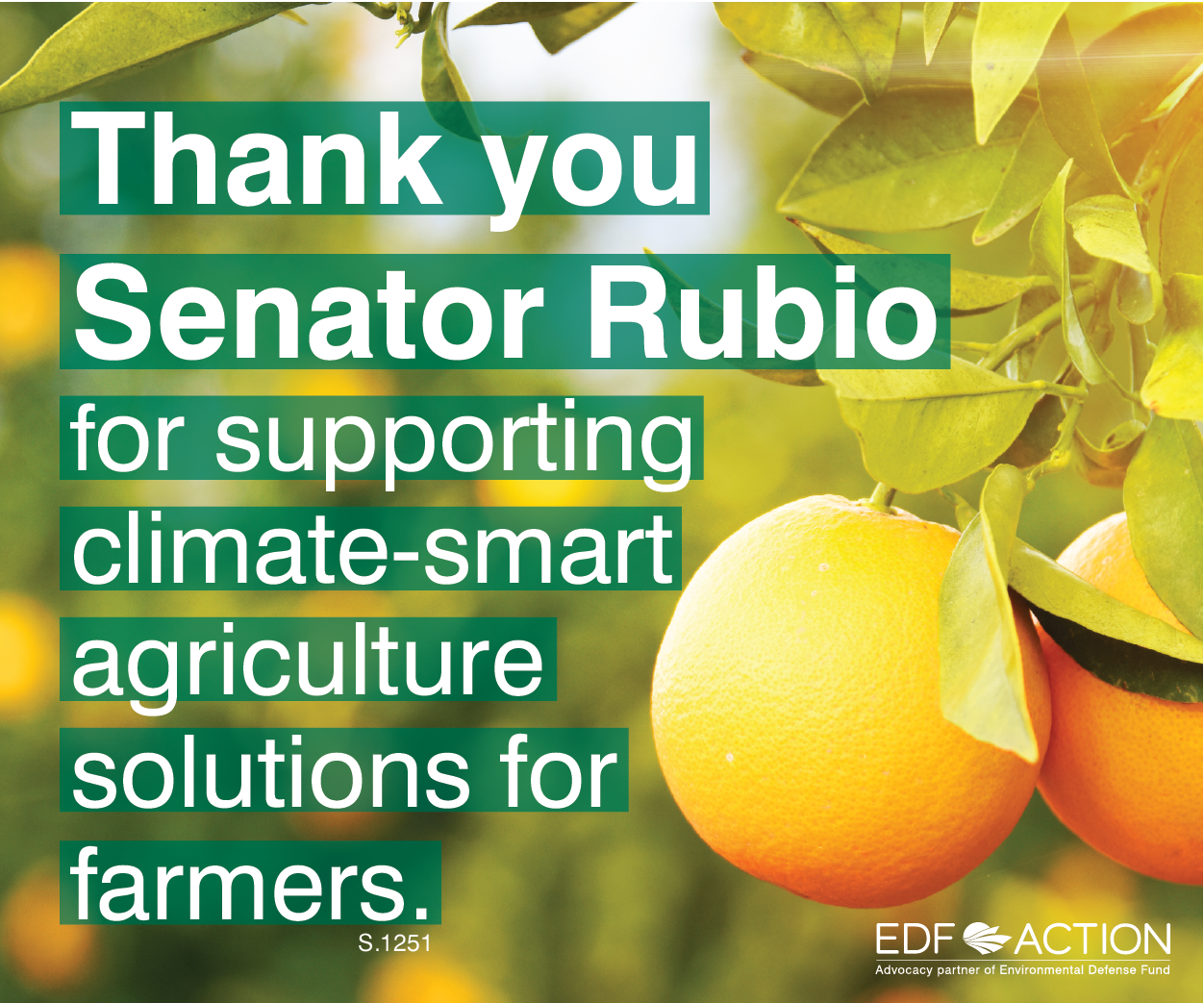 Thank you Sen. Rubio