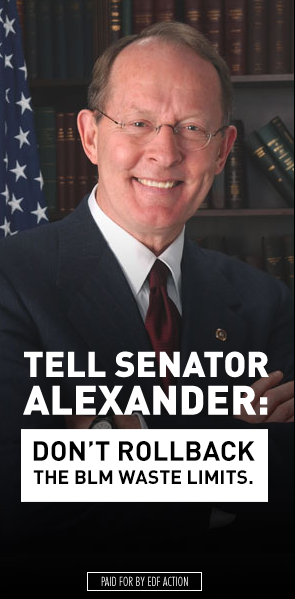 Senator Alexander don't rollback