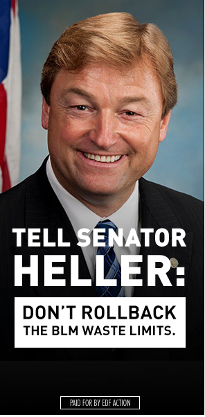 Senator Heller don't rollback