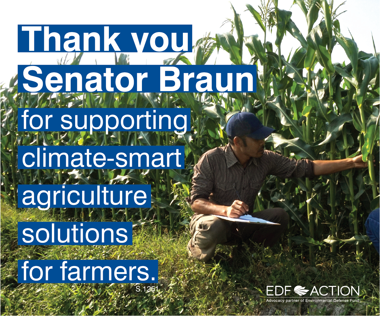 Thank you Senator Braun