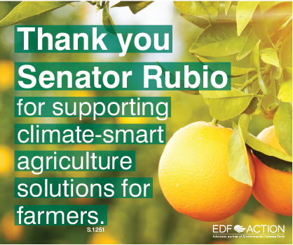 Thank you Sen. Rubio